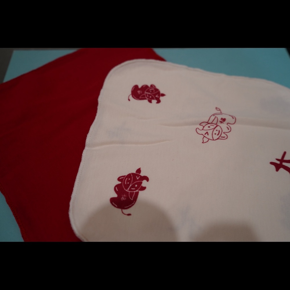 Wipe Clothes with Zodiac Print